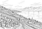 Landscape colouring page of Lavaux Vineyards, drawn in black outlines on white